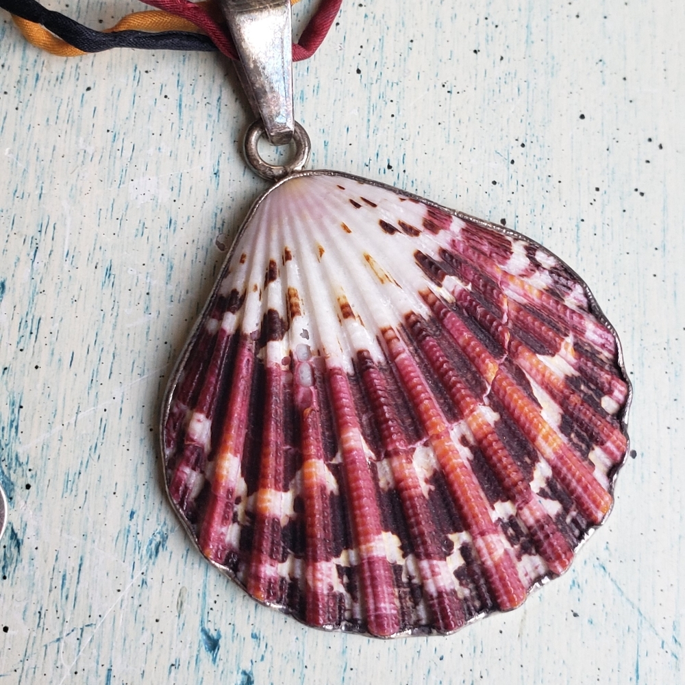 Scallop shell pendant Necklace